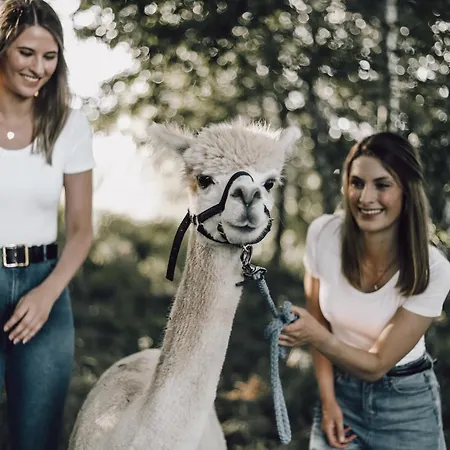 Апартаменты Ferien Auf Dem Alpakahof Schondienst Хюфинген