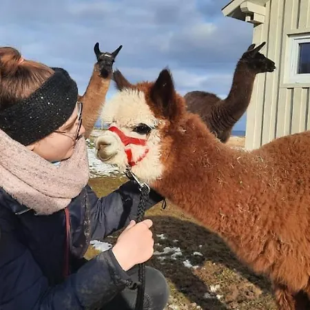 Ferien Auf Dem Alpakahof Schondienst Апартаменты Хюфинген